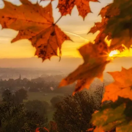 Guest house Berggasthof Koitsche Im Naturpark Zittauer Gebirge